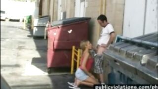 Caught Public Sex: Quick bj outback #3