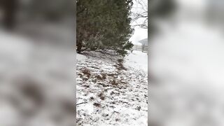 Risky Situations: Sucking some cock out in the snow #2