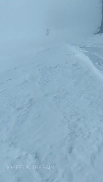 Do you think you would have been able to tell what I was doing through the fog?