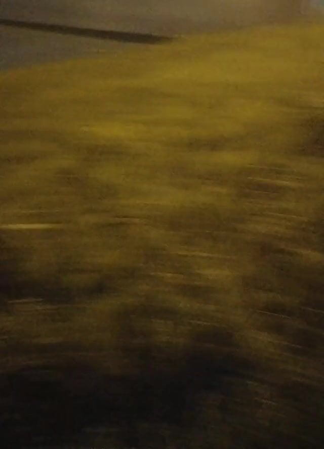 I thought the coast was clear... Oops!