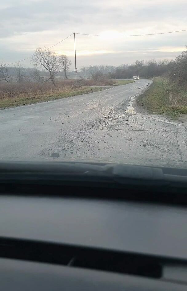 My friend didn't believe me, we bet. I won. Only the driver there seemed surprised