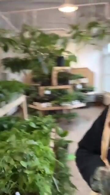 Trying to make your dick grow ???? at the plant store ????