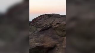 What can I climb on top of next?