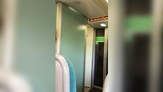Risky Situations: Topless on a train #4