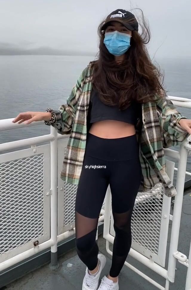 [f]erry flash