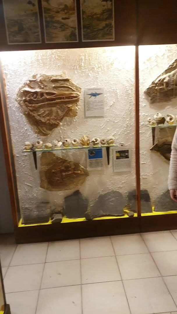 Welcome to the Mineralogical Museum. First, our two special specimens... heh