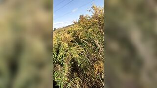 Public Nudity: One farmer had seen us, but that won't stop me #2