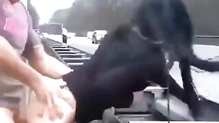 Exhibitionist Sex: Life is a highway #4