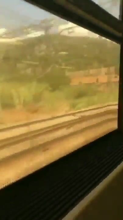 Train Blowjob