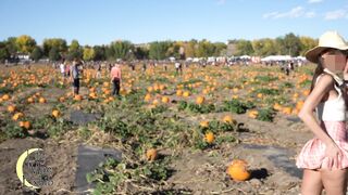 Exposed in Public: Wind caught me by surprise at the pumpkin patch! #2