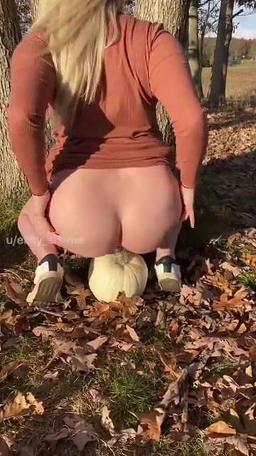 Who doesn’t love the pumpkin patch?