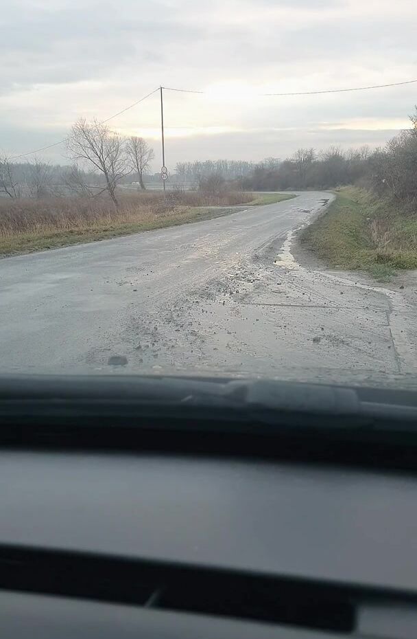 This is what happens when you lose a stupid bet. heh